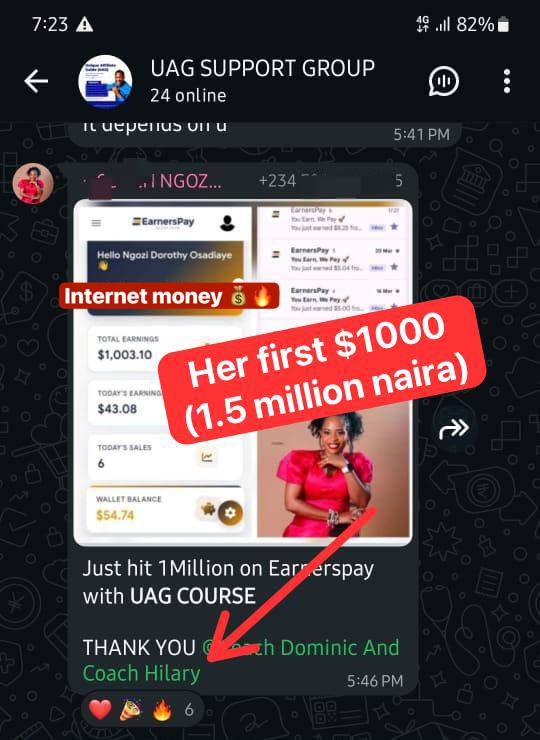 Nigerian Student Milestone Revenue Earnings Breakdown Screenshot Proof