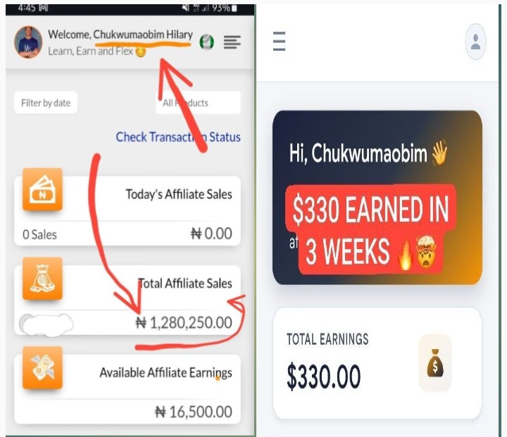 Total Affiliate Sales Overview